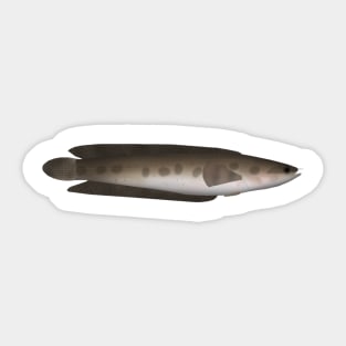 African Obscure Snakehead Sticker